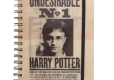 Harry Potter Sirius and Harry Notes A5 z okładką 3D