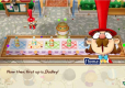 Story of Seasons Friends of Mineral Town