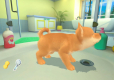 My Universe Puppies and Kittens