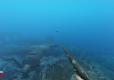 Stranded Deep