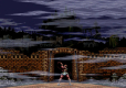 Castlevania Anniversary Collection Bloodlines Edition