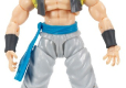 DRAGON BALL SUPER EVOLVE SUPER SAIYAN BLUE GOGETA