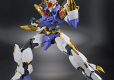 HG AMPLIFIED IMGN RYUNJINMARU