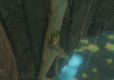 The Legend of Zelda Tears of the Kingdom Collector’s Edition