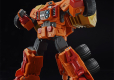 RG GOLDYMARG