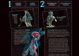 The Legend of Zelda Breath of the Wild The Complete Official Guide