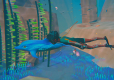 Dolphin Spirit Ocean Mission
