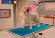 Animal Hospital