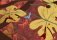Stonefly