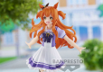 UMAMUSUME: PRETTY DERBY - MAYANO TOP GUN