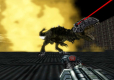 Turok (LRG)