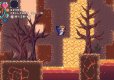 Wife Quest (import)