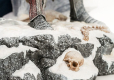 The Witcher 3 Statua 1/6 Wild Hunt Diorama 55 cm