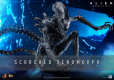 Alien Romulus Movie Masterpiece Action Figure 1/6 Scorched Xenomorph 44 cm
