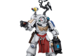 Warhammer The Horus Heresy Action Figure 1/18 Ultramarines Apothecary Biologis 12 cm