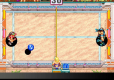 Evercade - Windjammers, Karnov & Friends