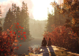 Life is Strange 2 (kod w pudełku)