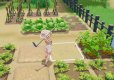 Starsand Island (Import)